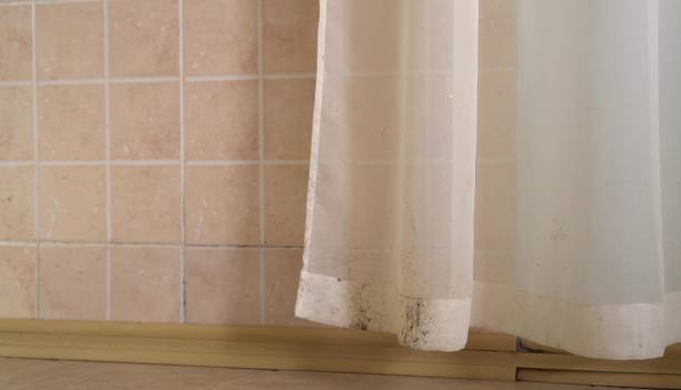Best Air Quality Testing for Mold Spores  in Bigfoot, TX